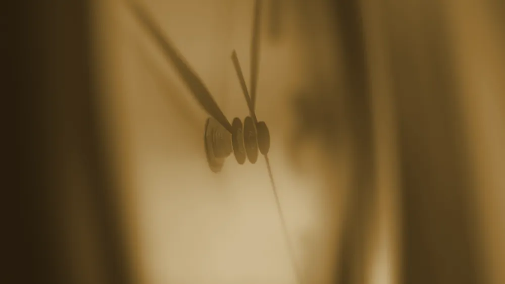 A close-up of clock hands in soft focus