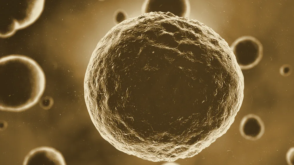 A close-up illustration of cellular growth and division