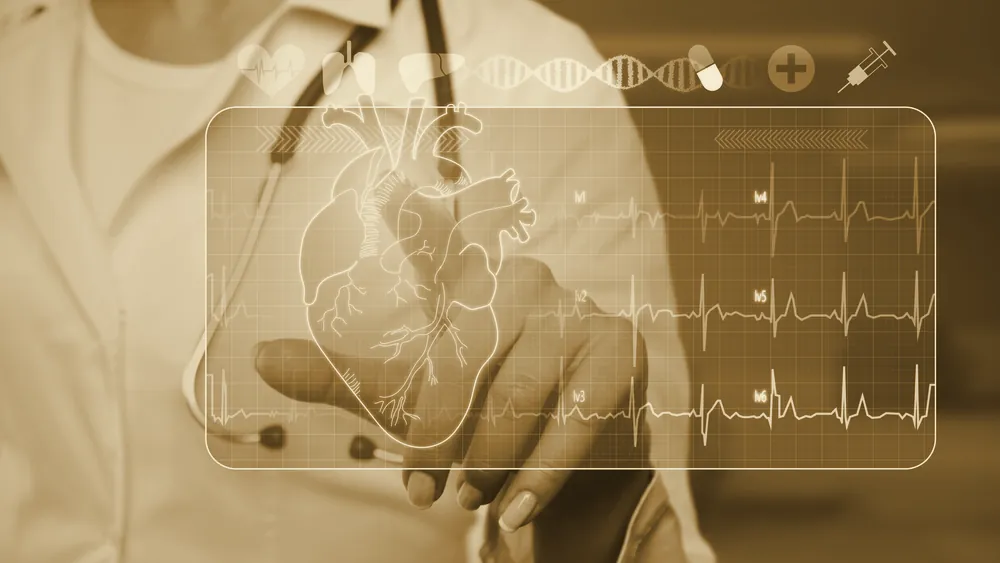 A female doctor pointing at a medical heart display